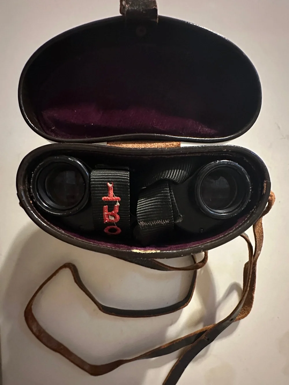 Vintage Noppon Kogaku Nikon A Series 8x30 Wide Angle Porro Prism Binoculars